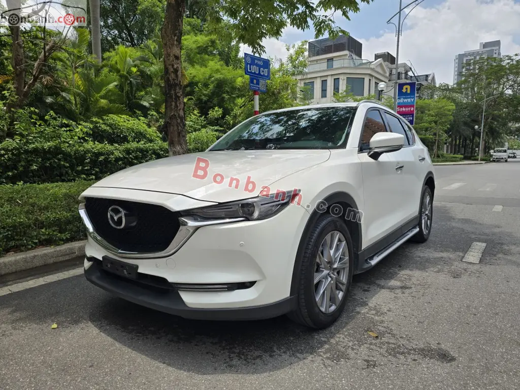 Hình ảnh số 2