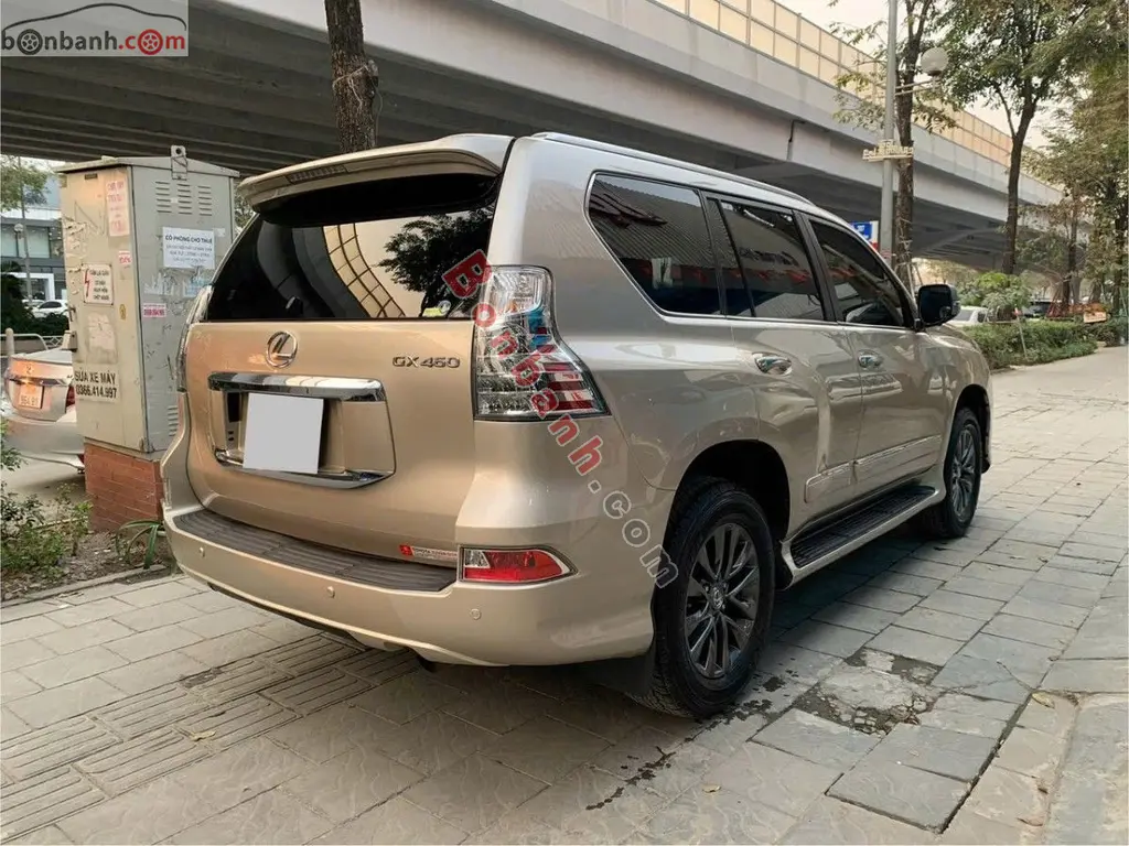 Hình ảnh số 3