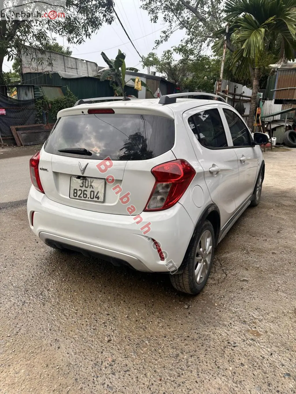Hình ảnh số 2