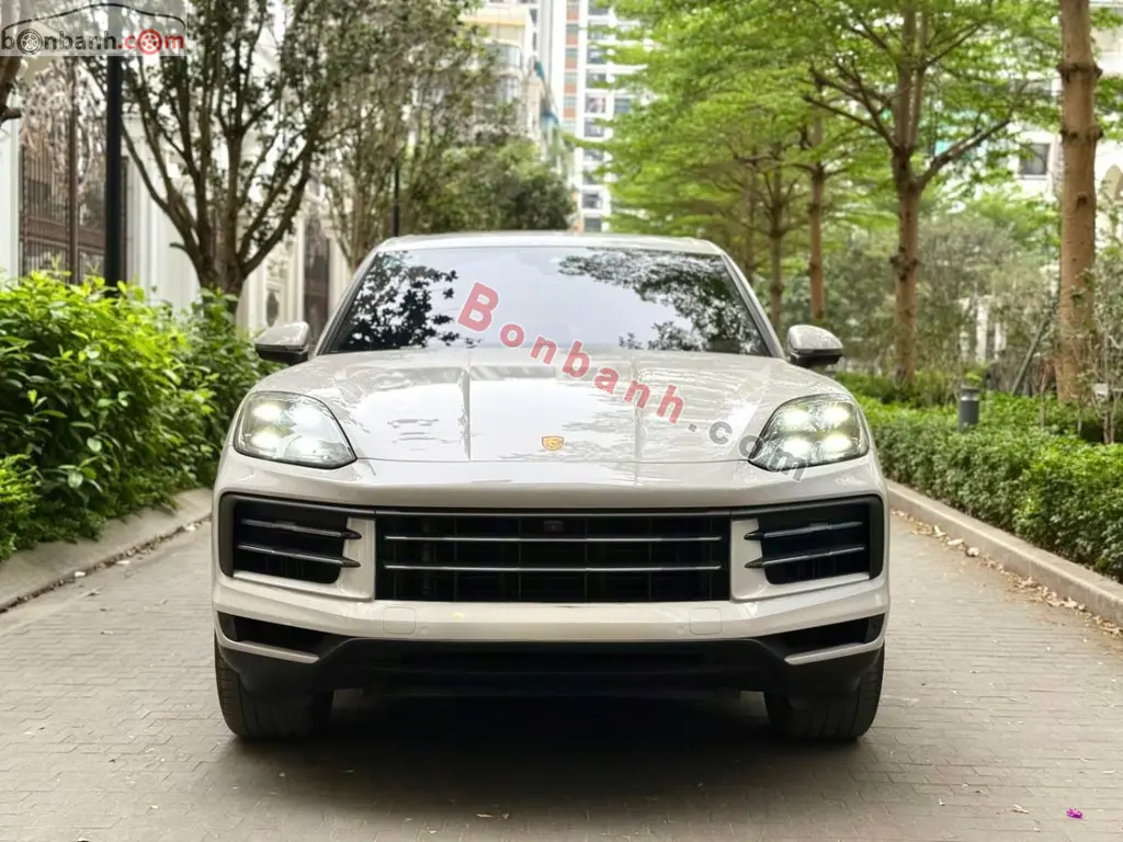 Hình ảnh số 2