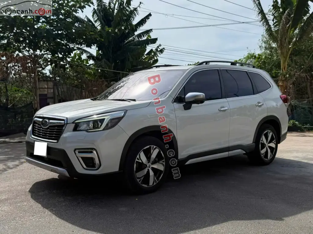 Hình ảnh số 2
