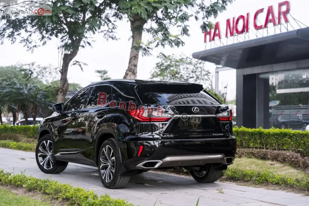 Hình ảnh số 3