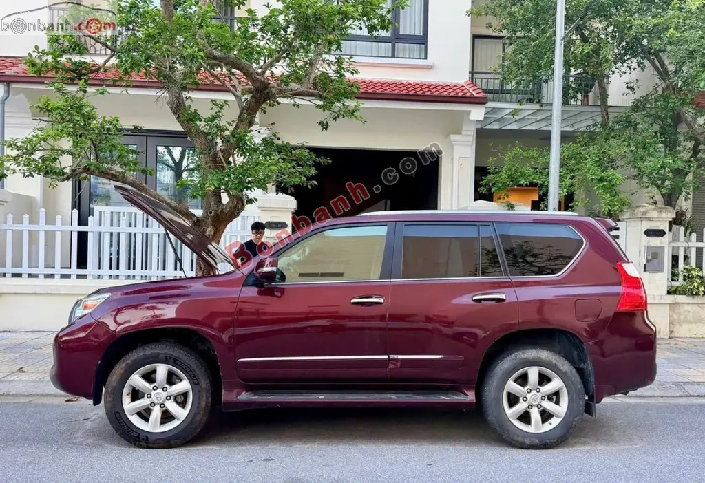 Hình ảnh số 2