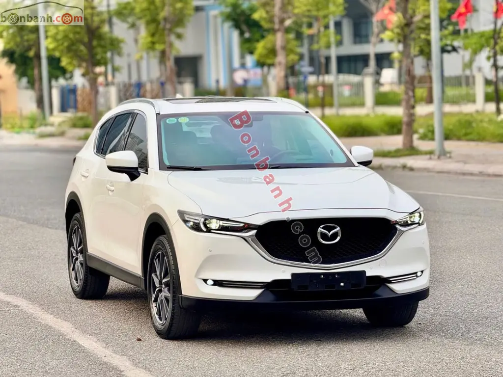 Hình ảnh số 2