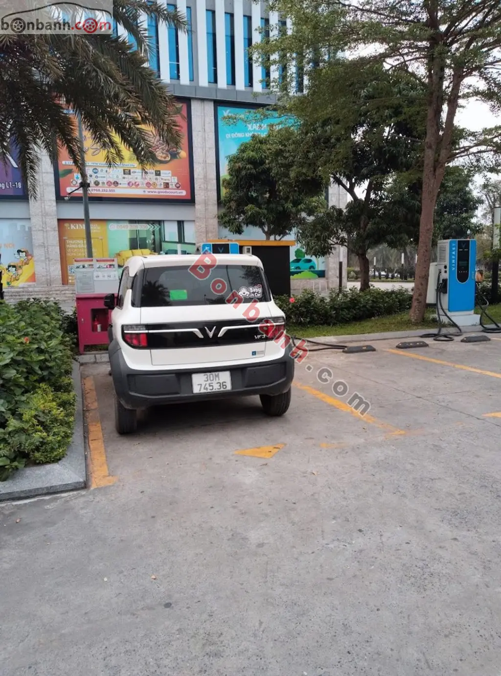 Hình ảnh số 2