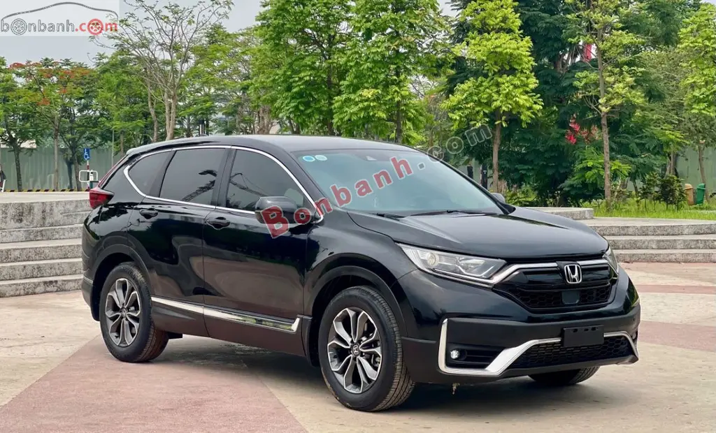Hình ảnh số 2