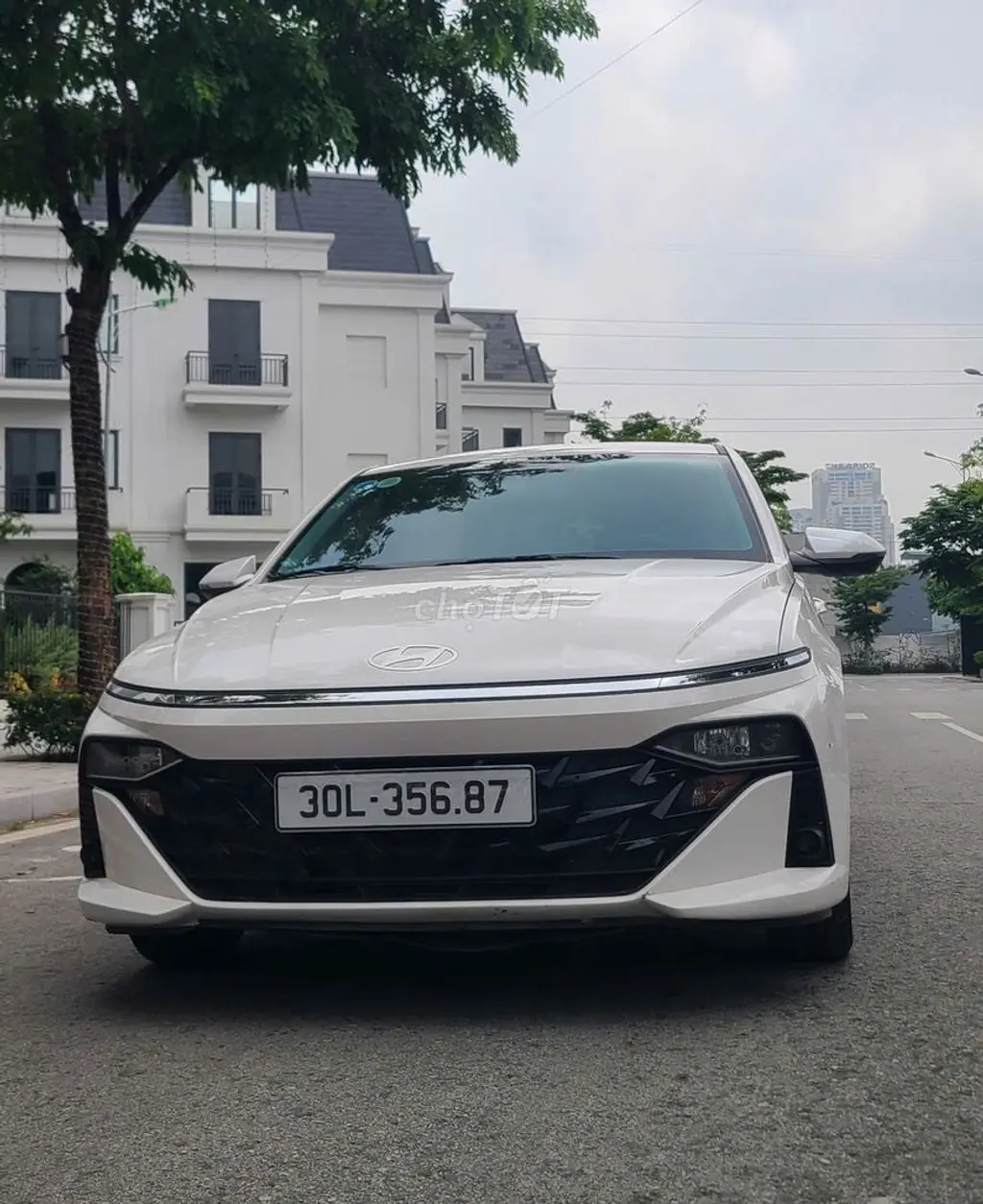 Hình ảnh số 2