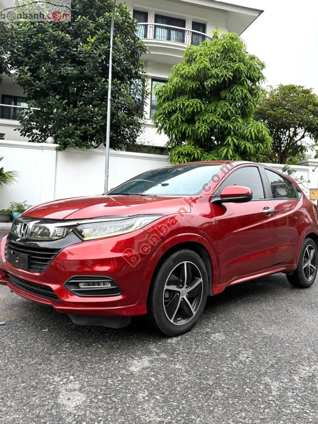 Hình ảnh số 2