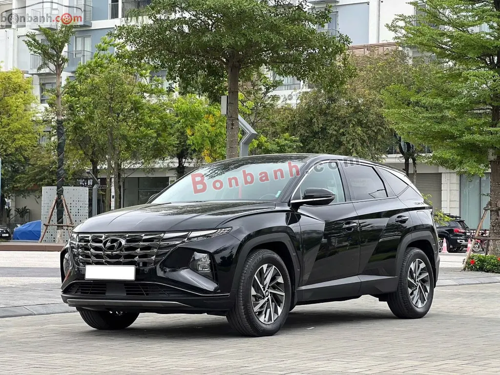 Hình ảnh số 2