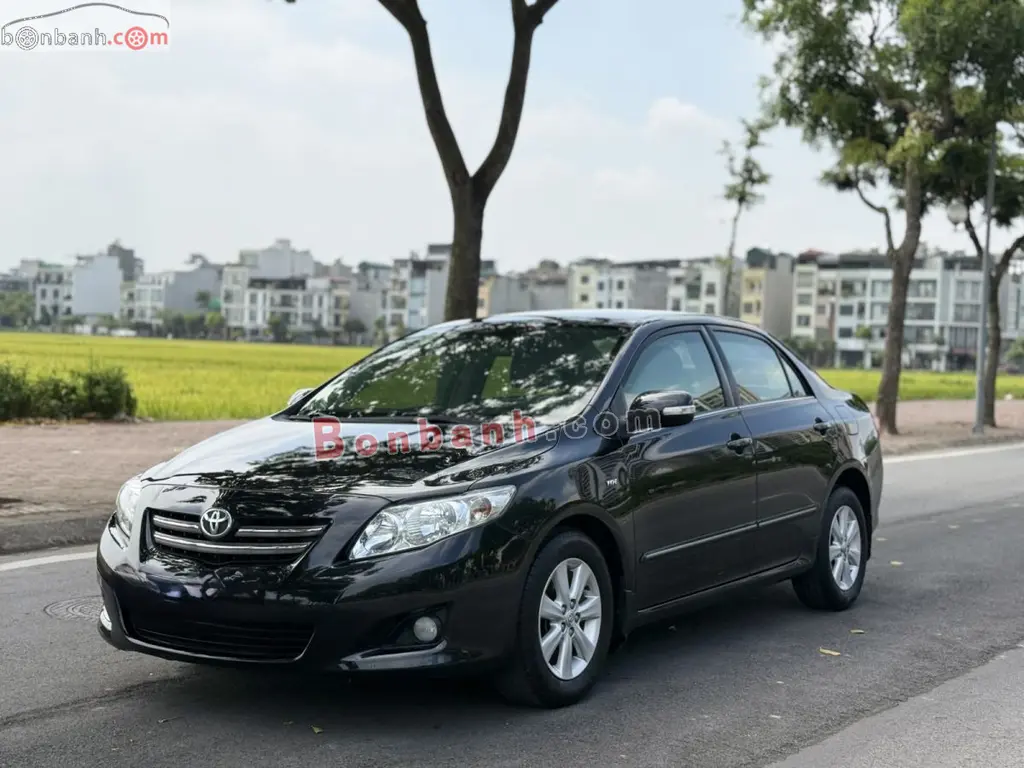 Hình ảnh số 2