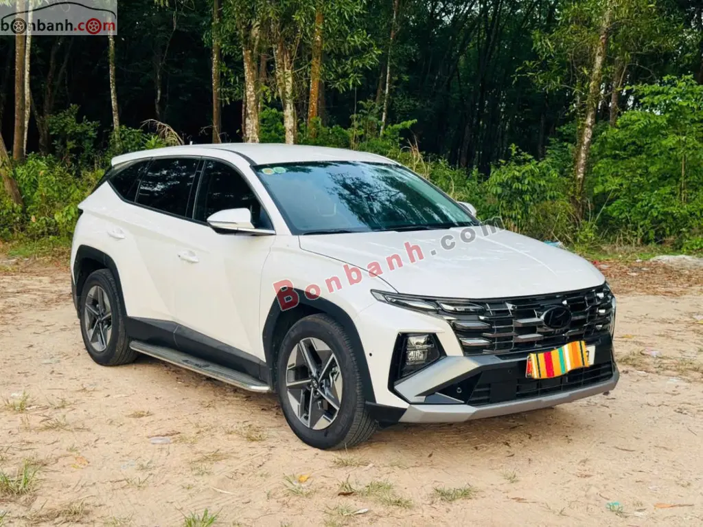 Hình ảnh số 2