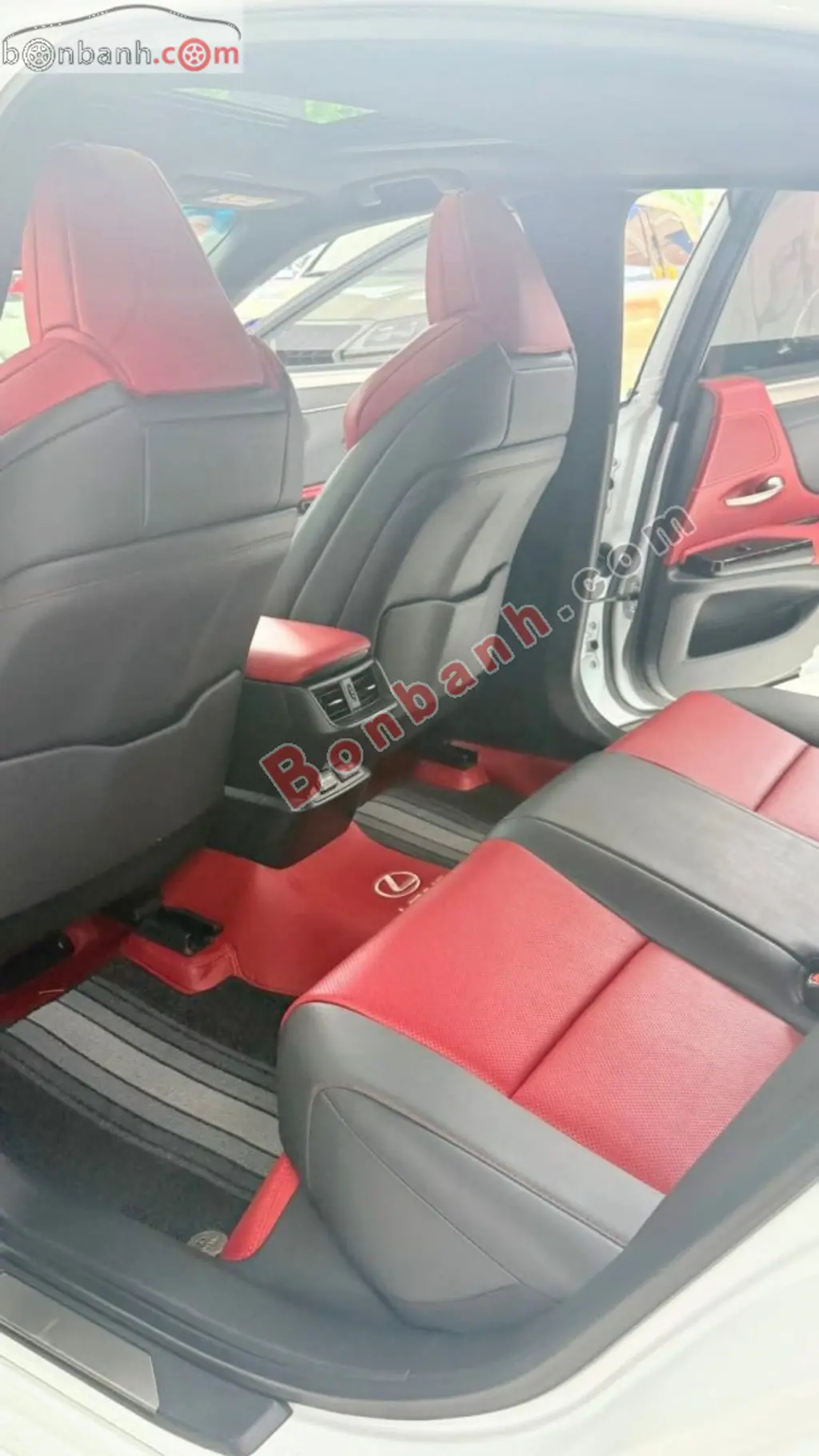 Hình ảnh số 8