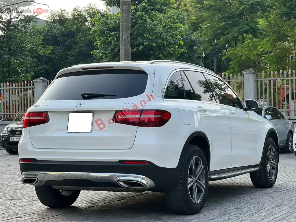 Hình ảnh số 5