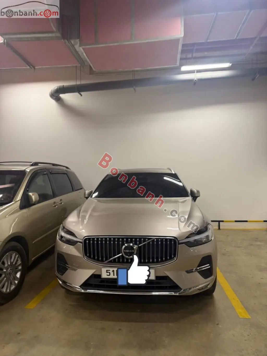 Hình ảnh số 2