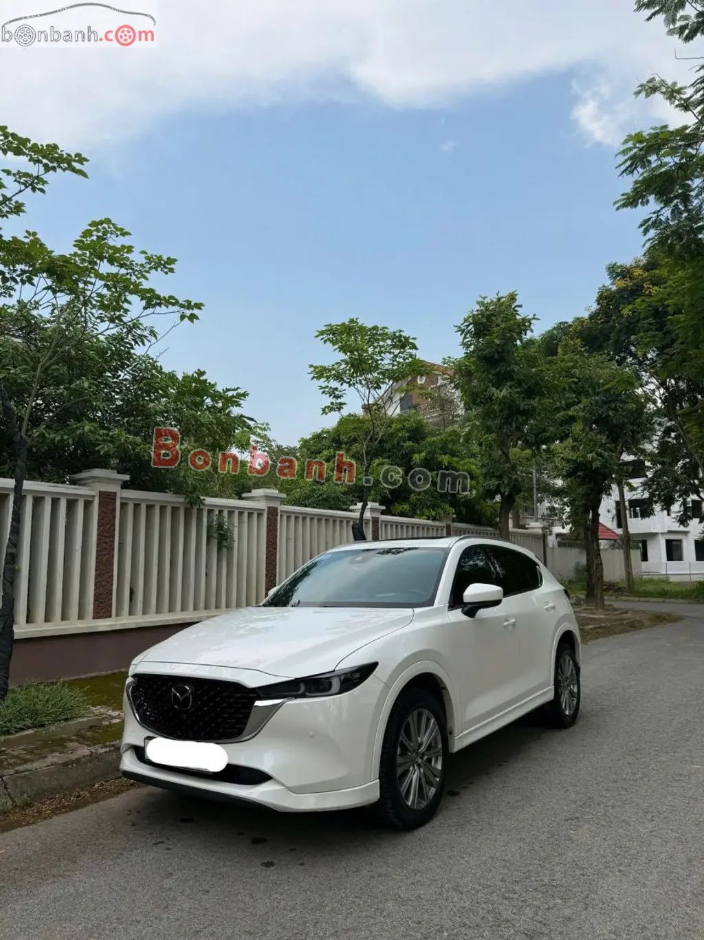 Hình ảnh số 4