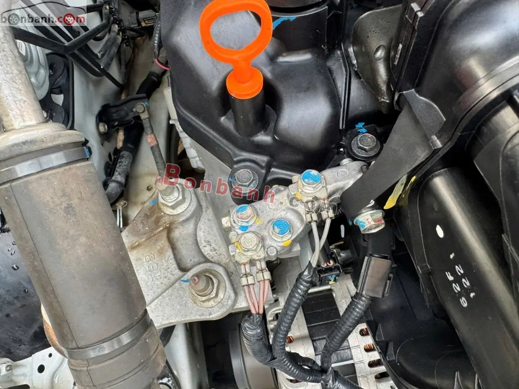 Hình ảnh số 10