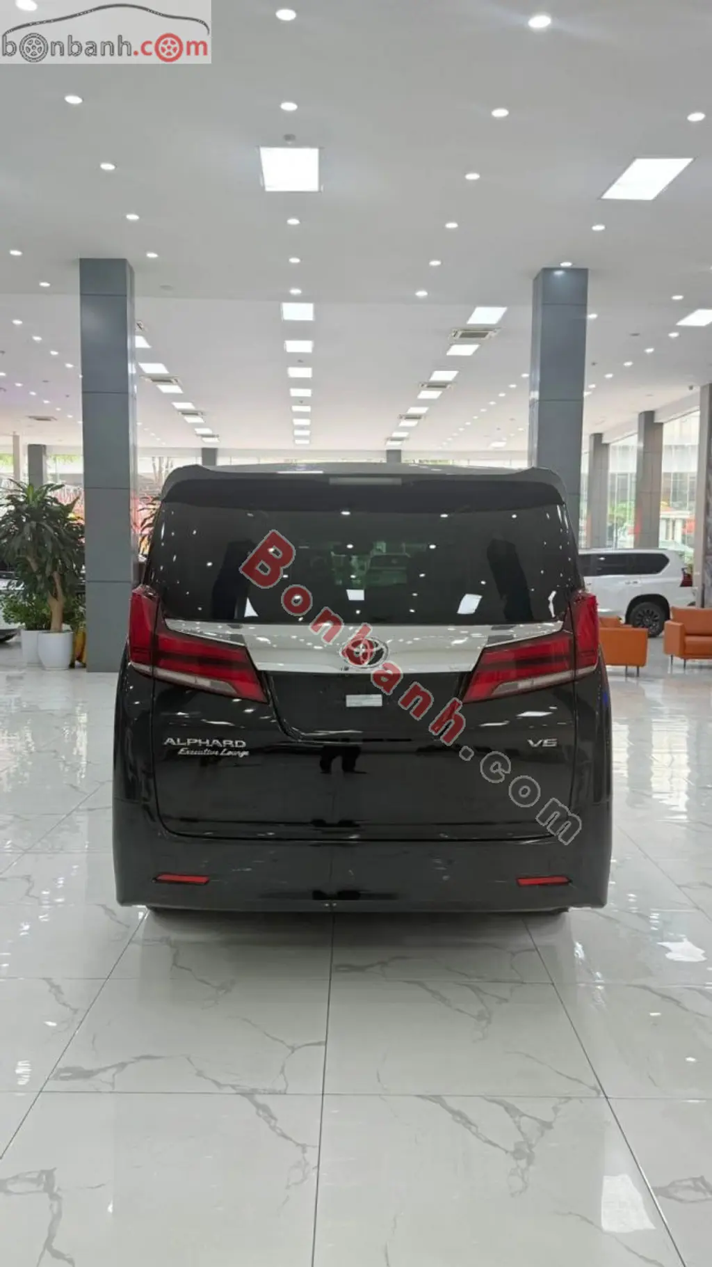 Hình ảnh số 5