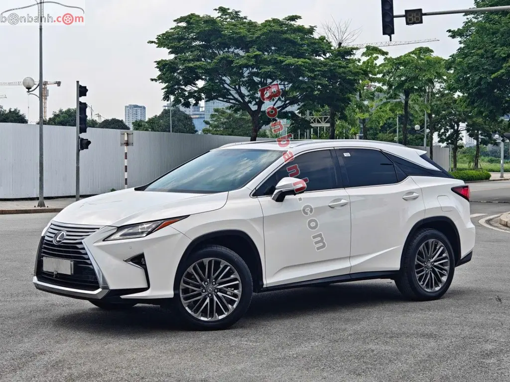 Hình ảnh số 2
