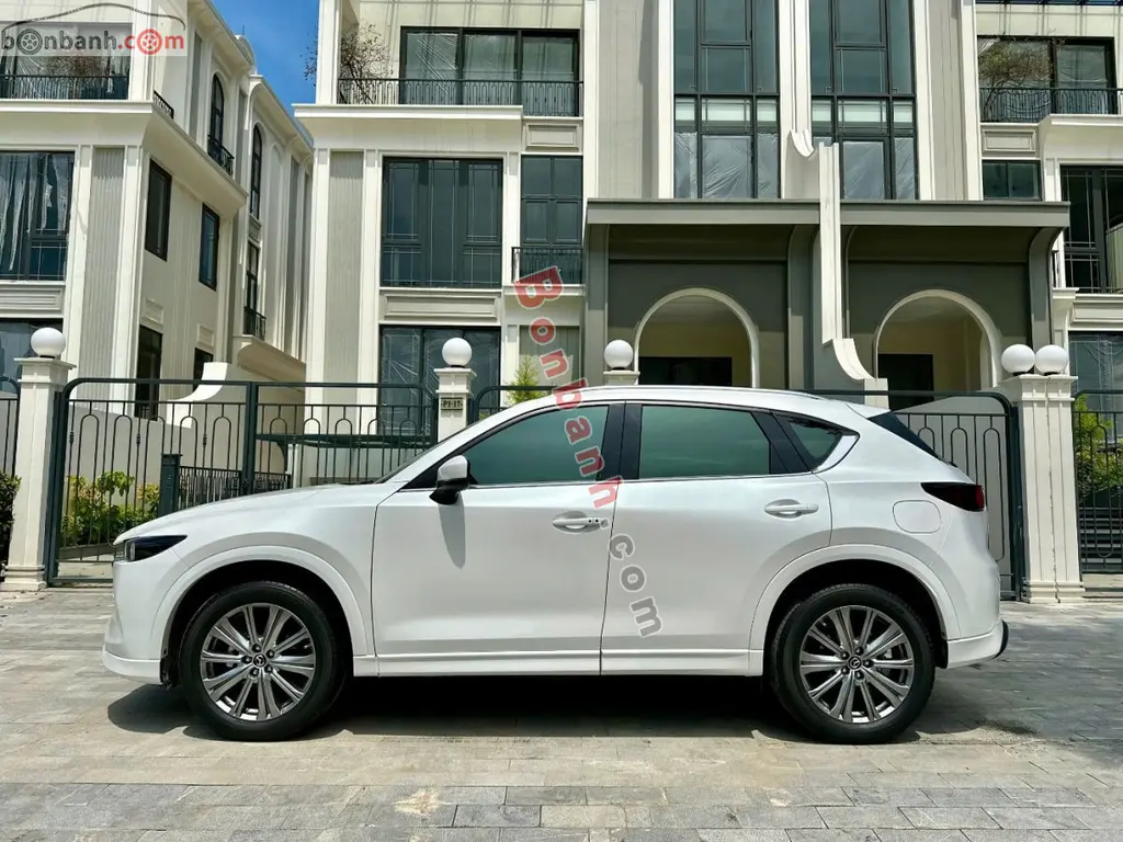 Hình ảnh số 5