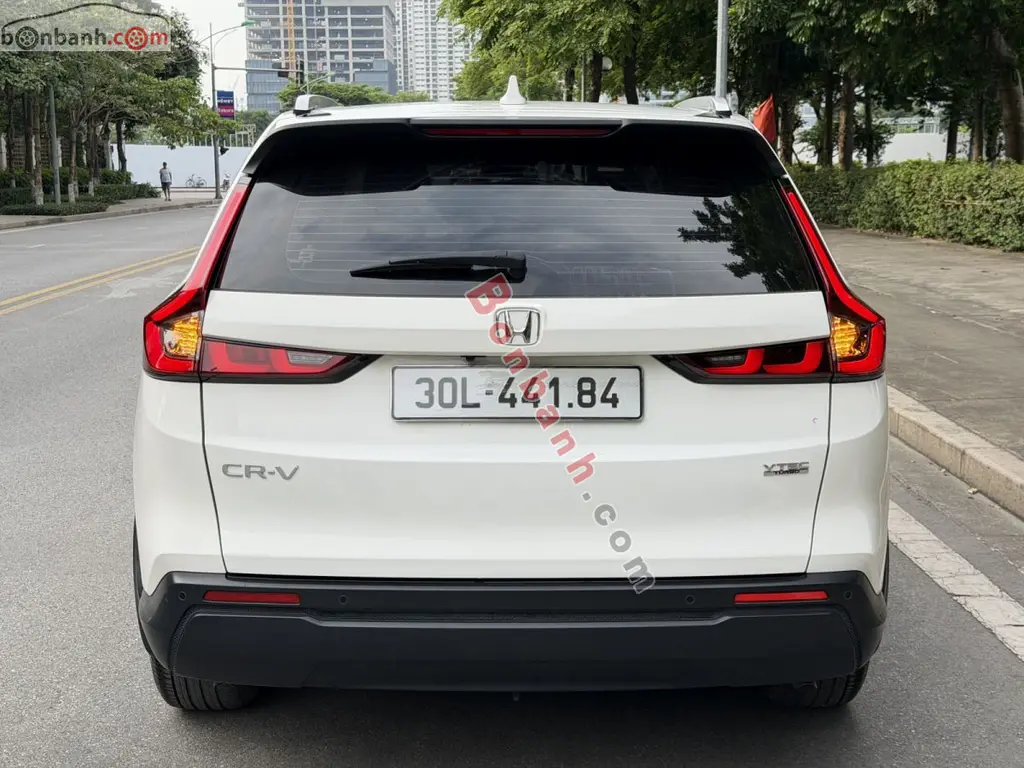 Hình ảnh số 3