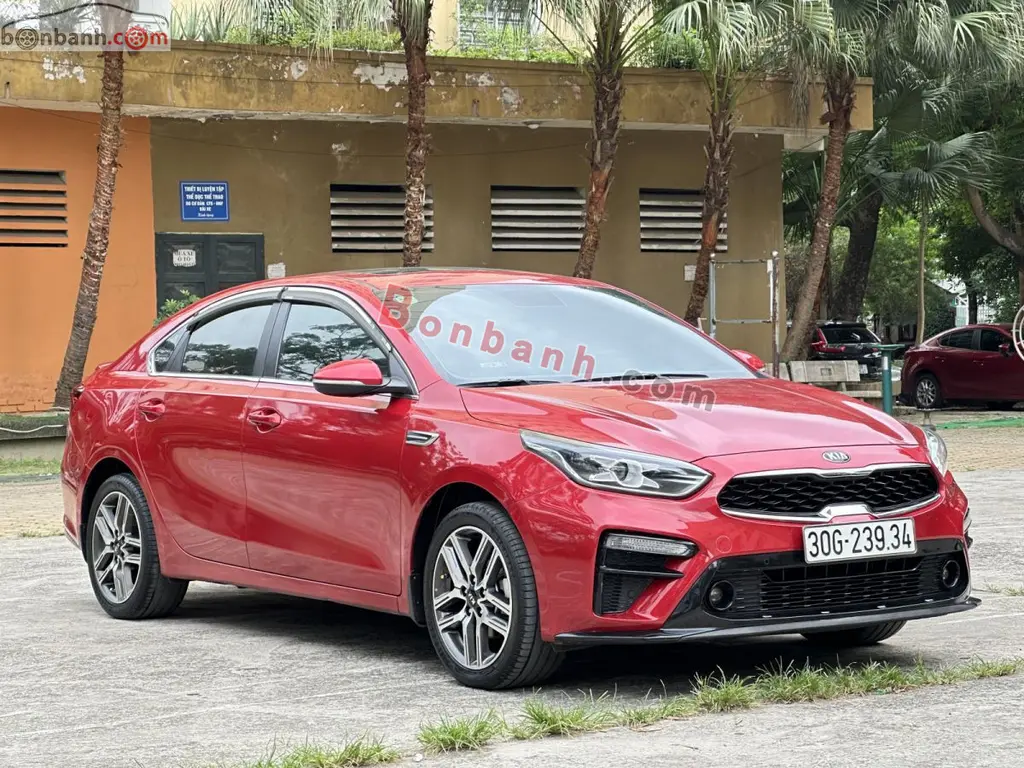 Hình ảnh số 2