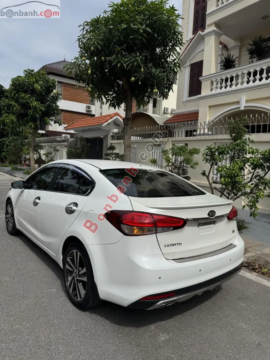 Hình ảnh số 4