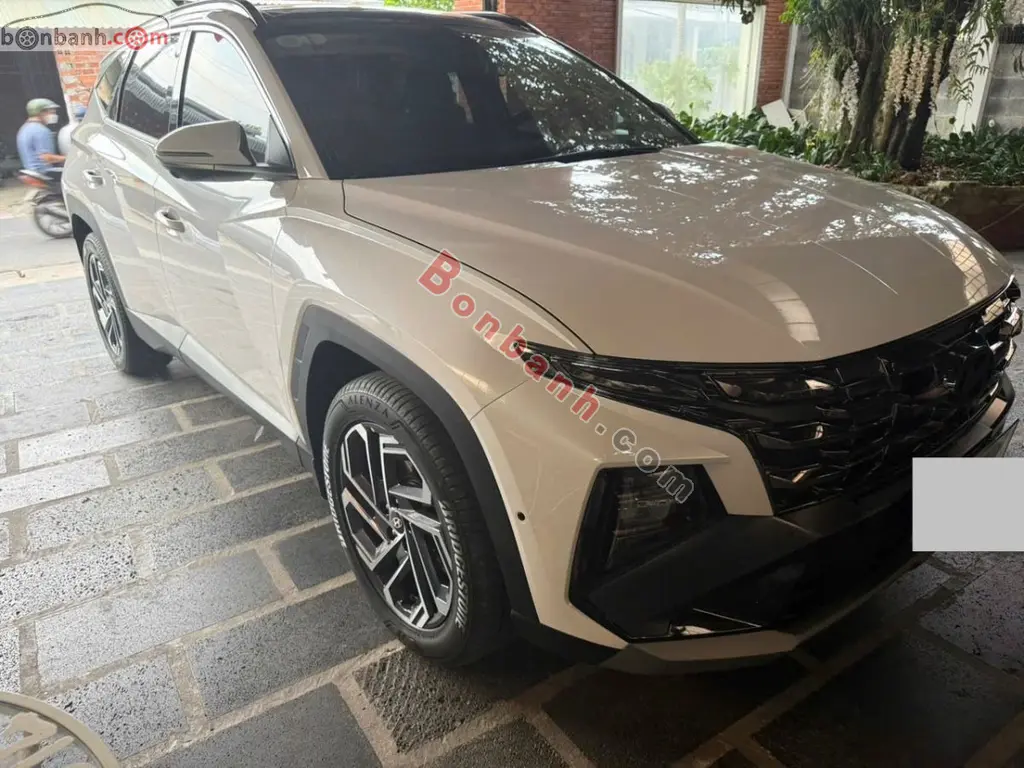 Hình ảnh số 2