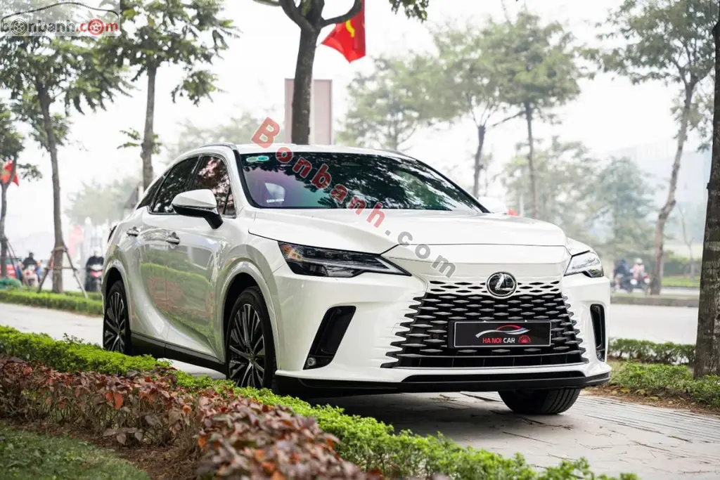 Hình ảnh số 2
