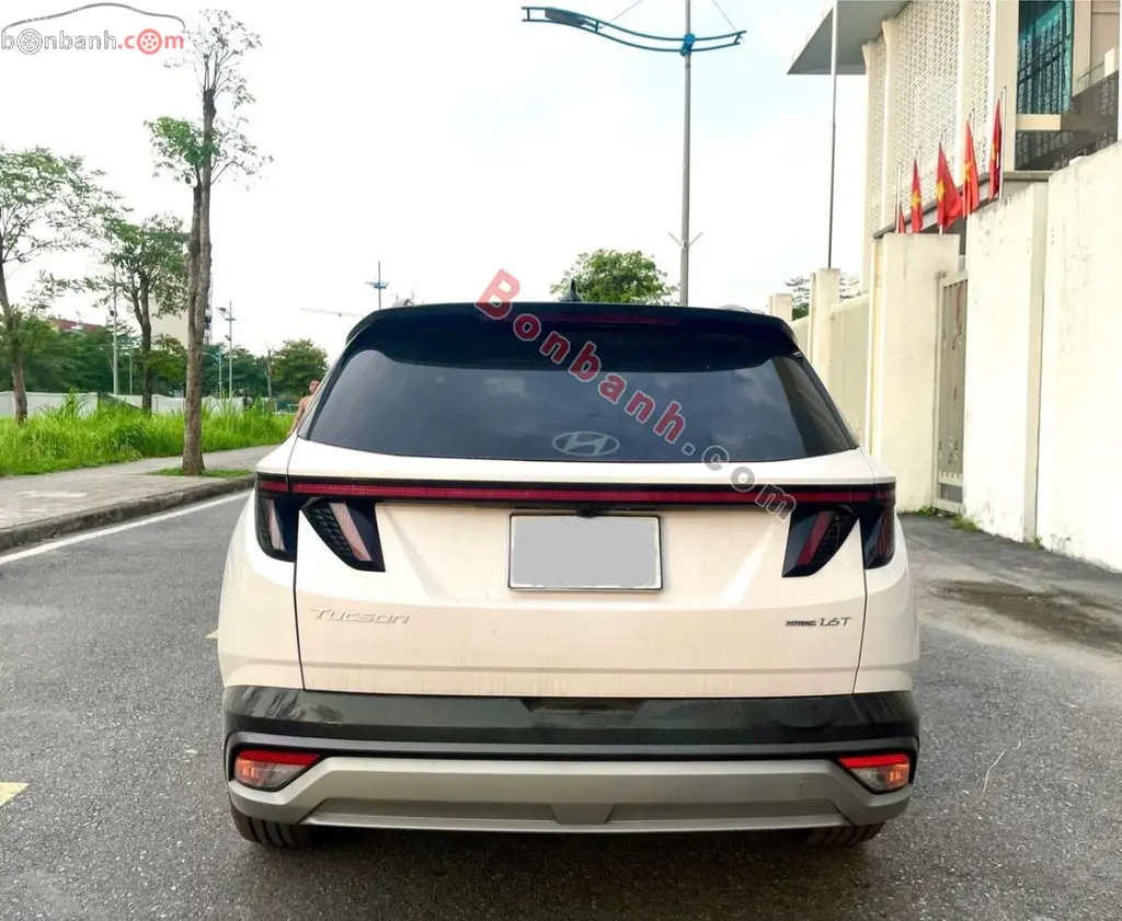 Hình ảnh số 5