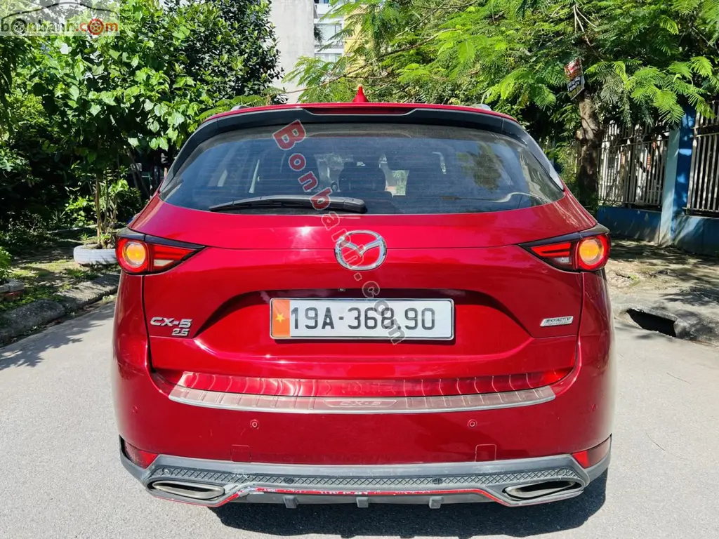 Hình ảnh số 4