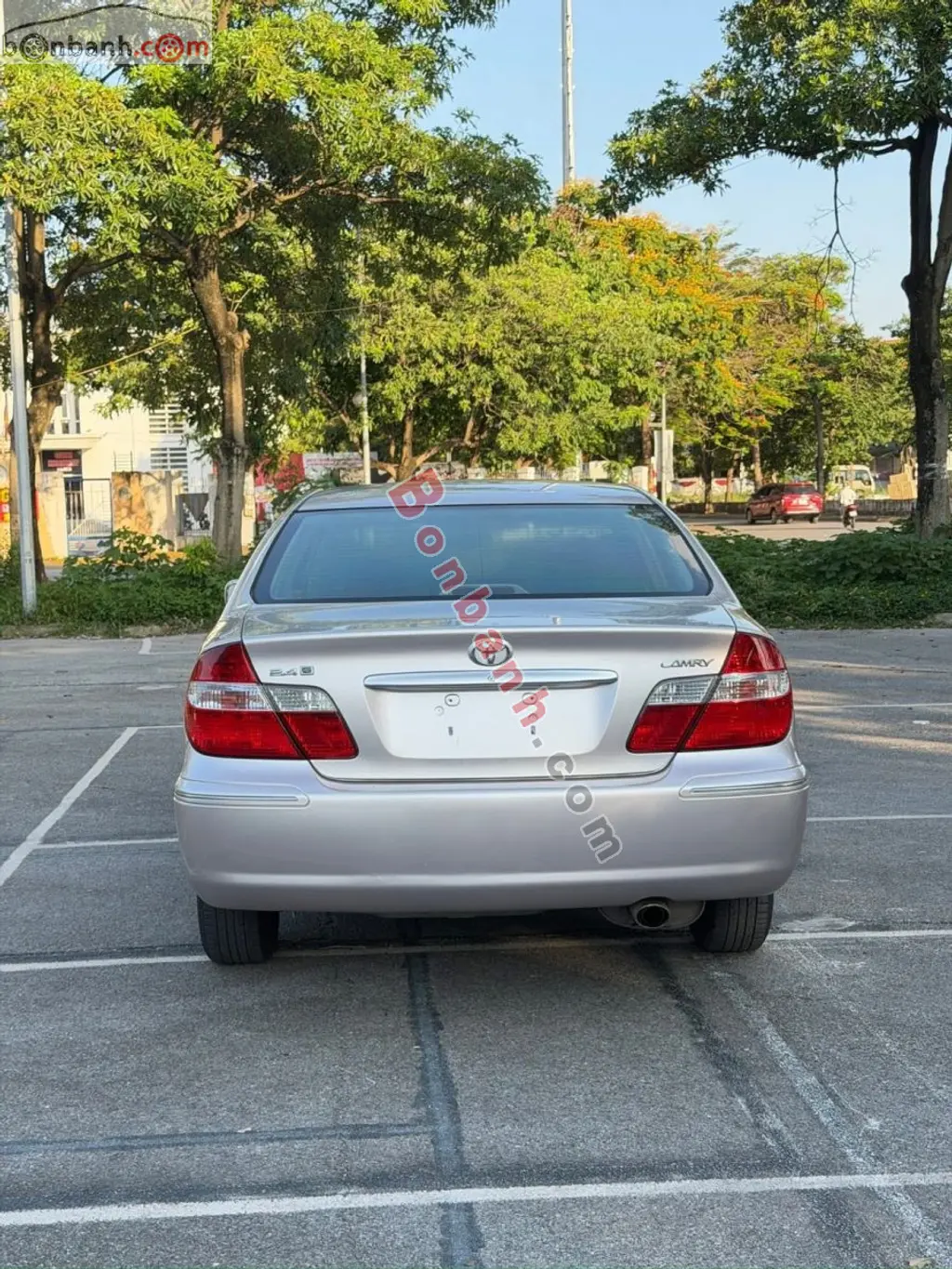 Hình ảnh số 4