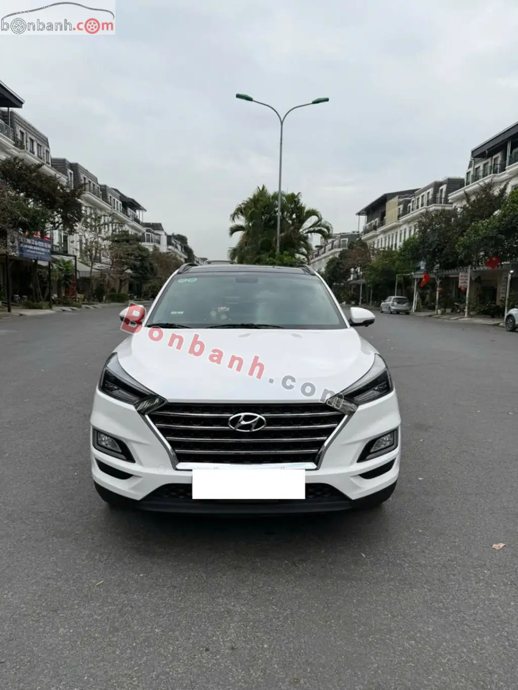 Hình ảnh số 2