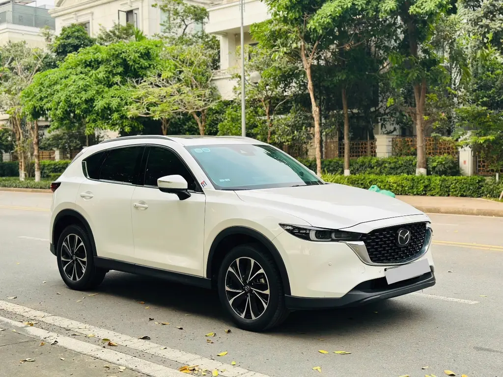 Hình ảnh số 2