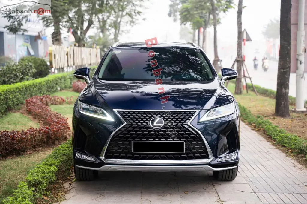 Hình ảnh số 2