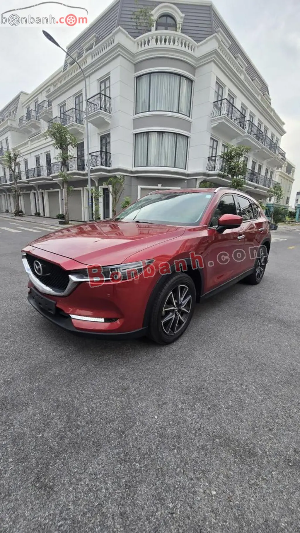 Hình ảnh số 2