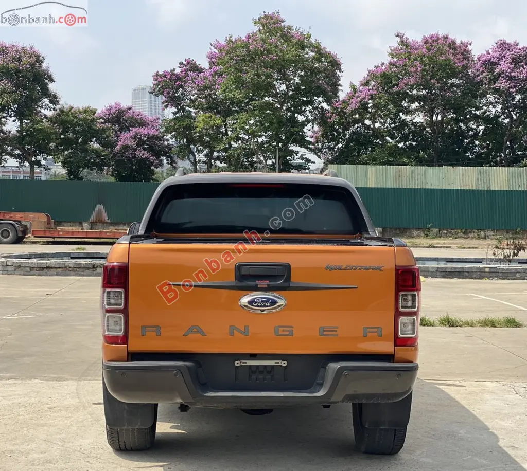 Hình ảnh số 5
