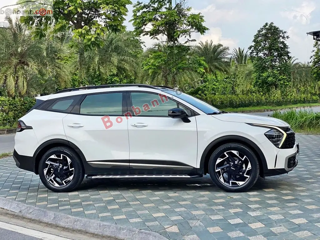 Hình ảnh số 3