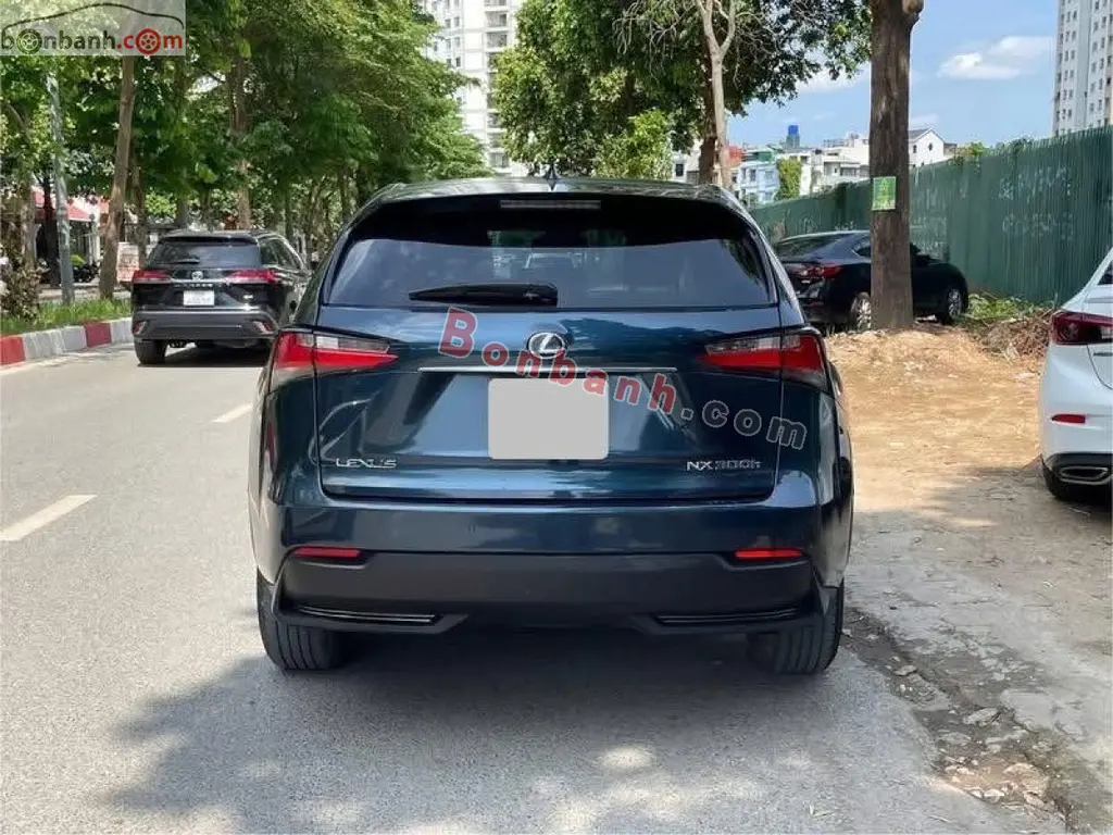 Hình ảnh số 2