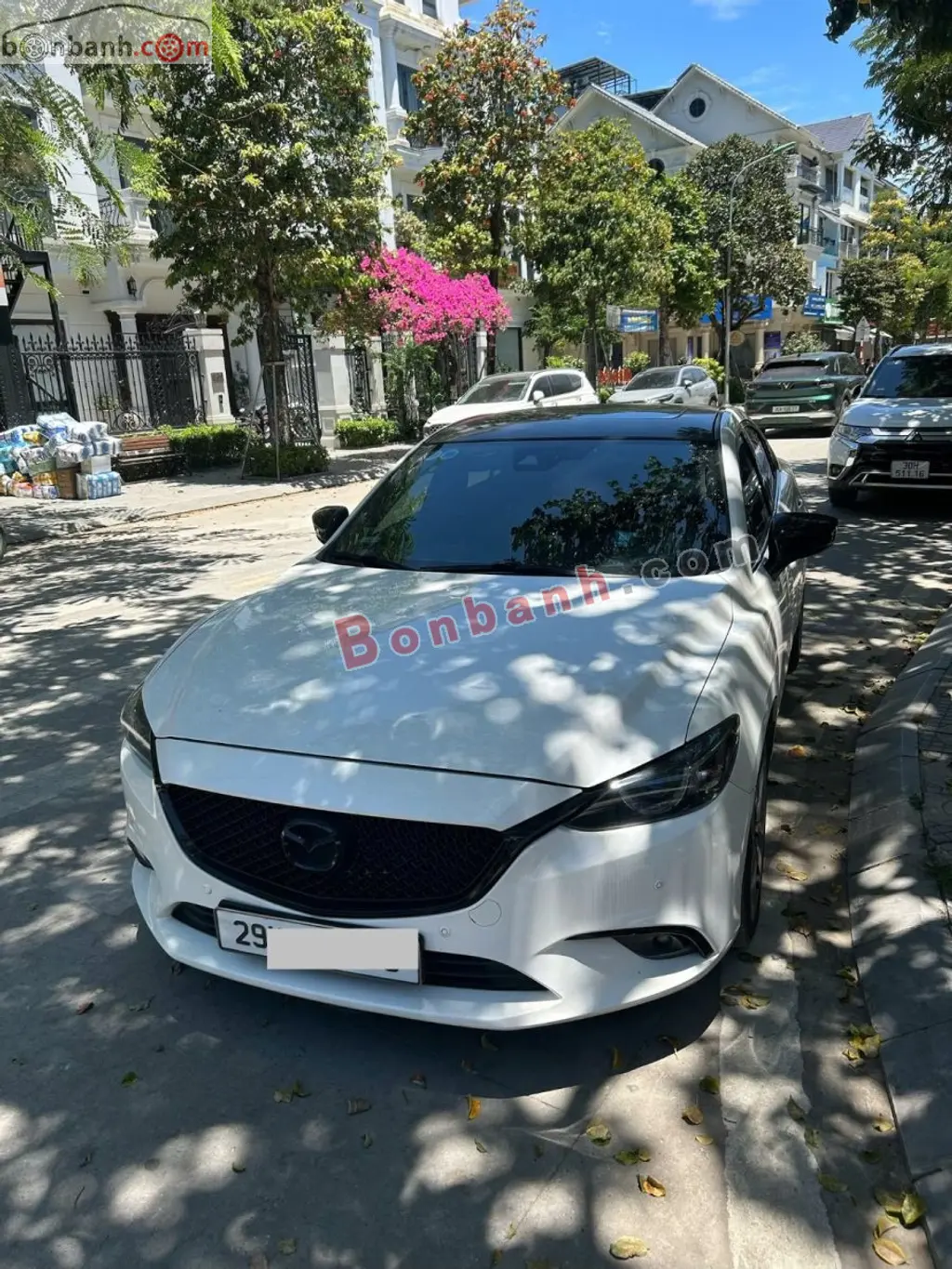 Hình ảnh số 2