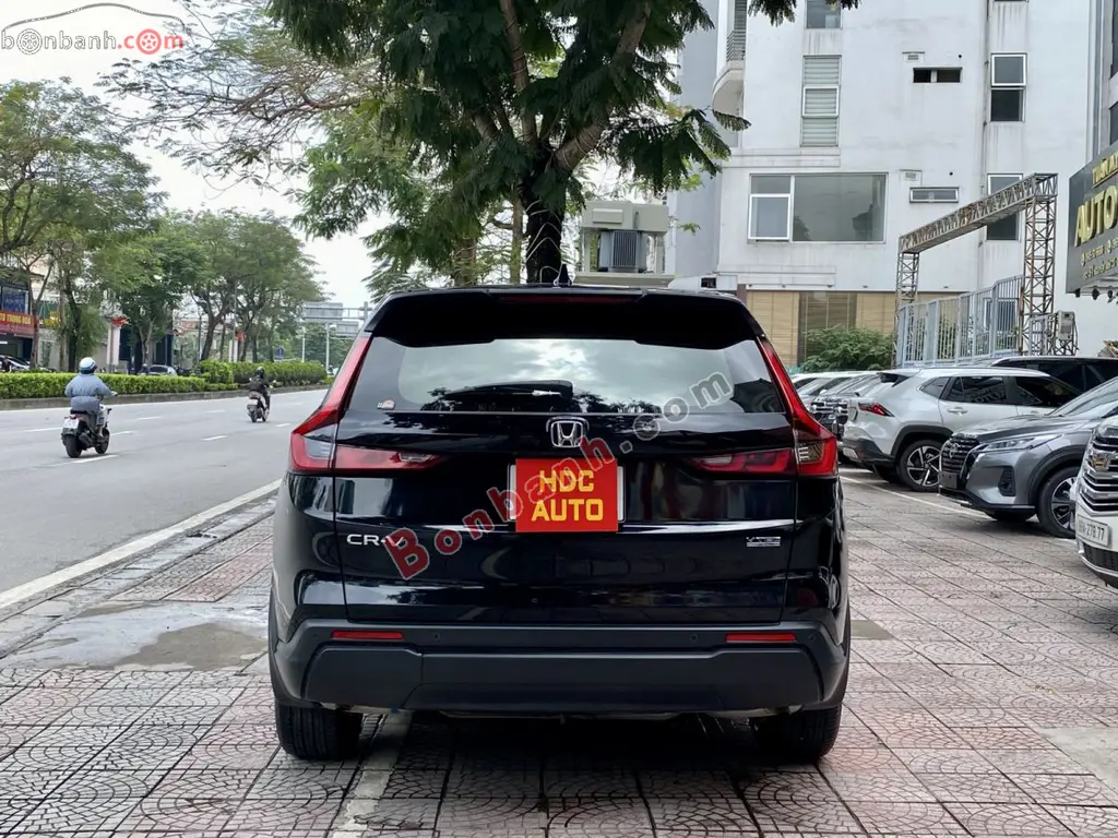 Hình ảnh số 5