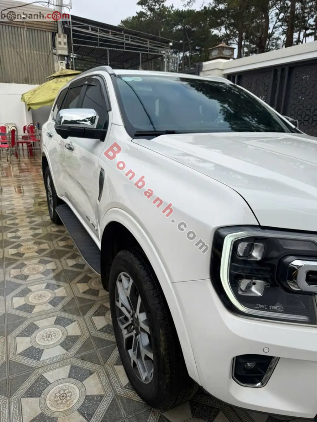 Hình ảnh số 2