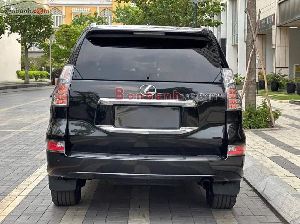 Hình ảnh số 5