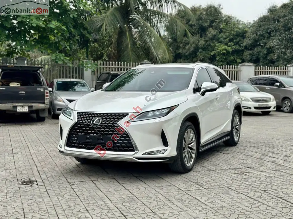 Hình ảnh số 2
