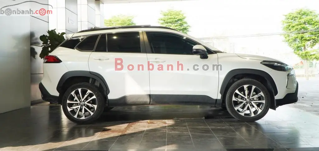 Hình ảnh số 3
