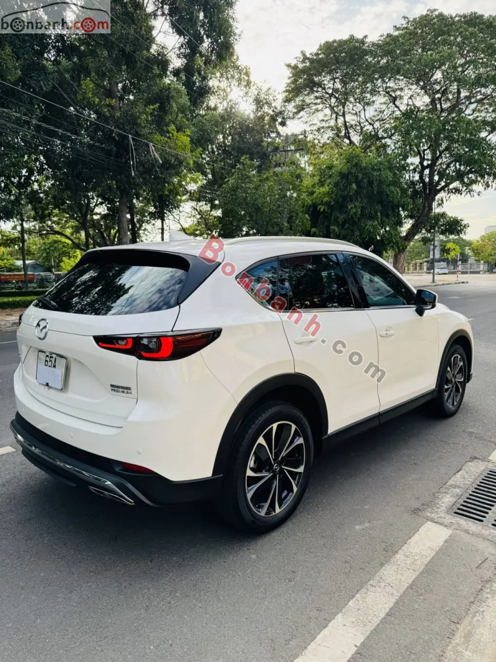 Hình ảnh số 4