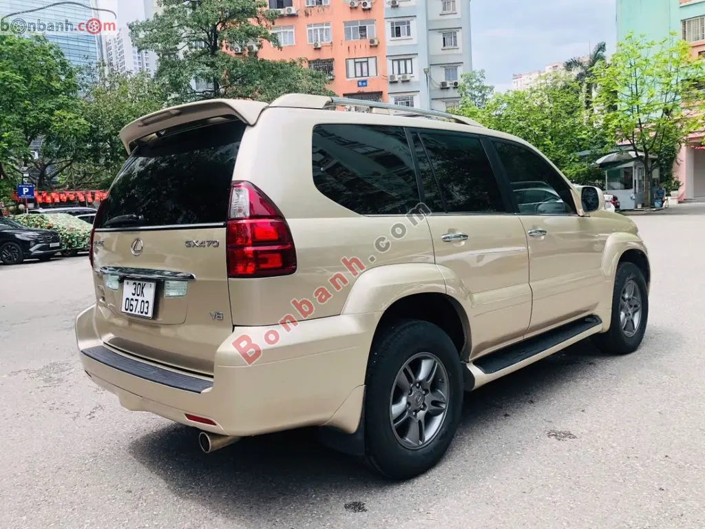 Hình ảnh số 3