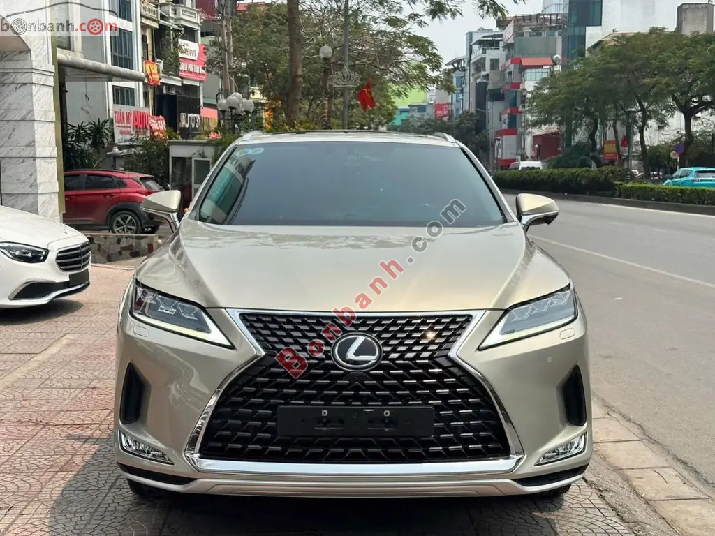 Hình ảnh số 3