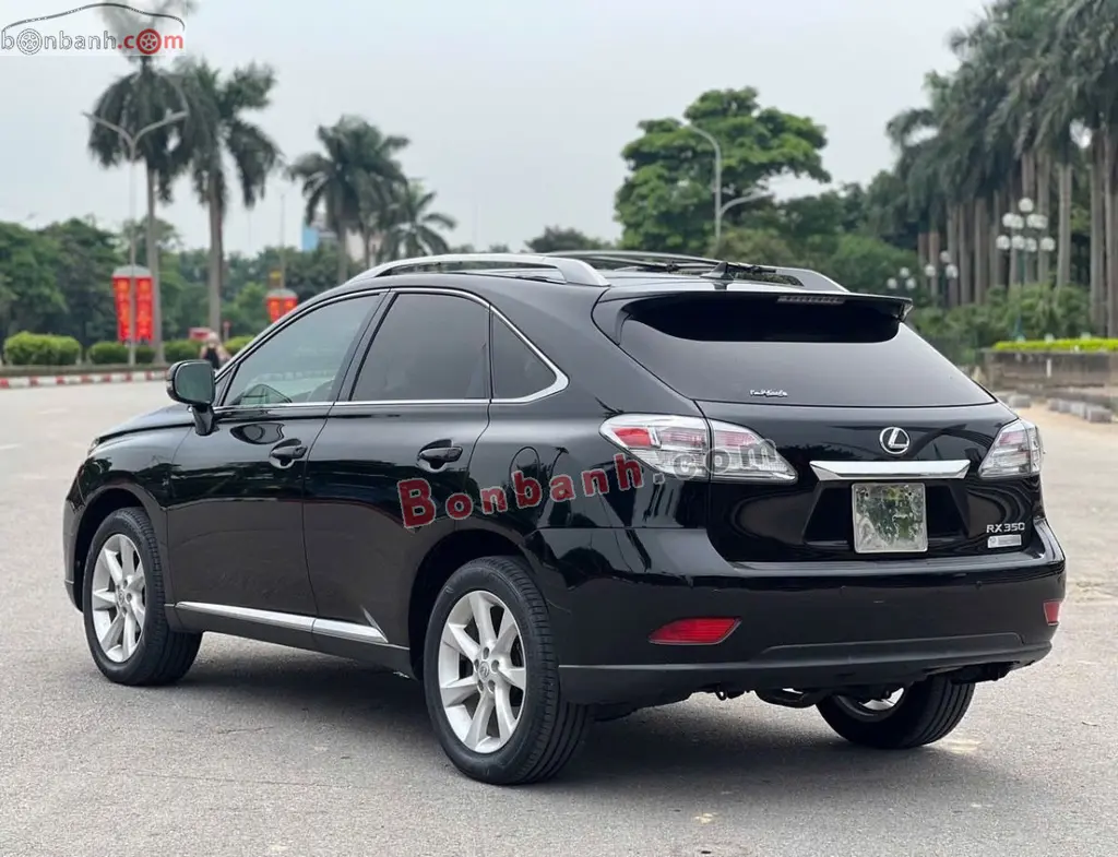 Hình ảnh số 4