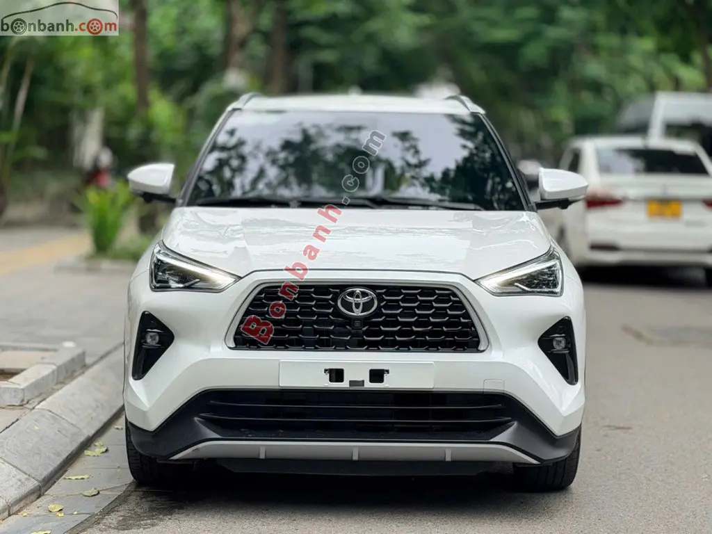 Hình ảnh số 2