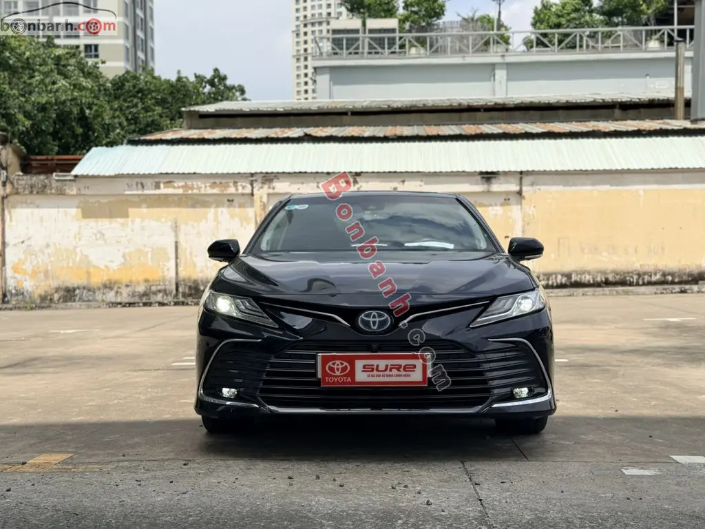 Hình ảnh số 2
